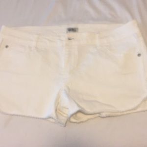 Brand new cute white shorts